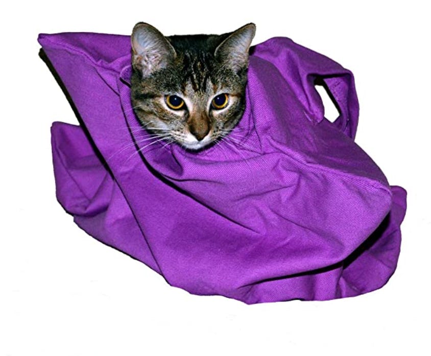 Cat-in-The-Bag Cozy Comfort Carrier