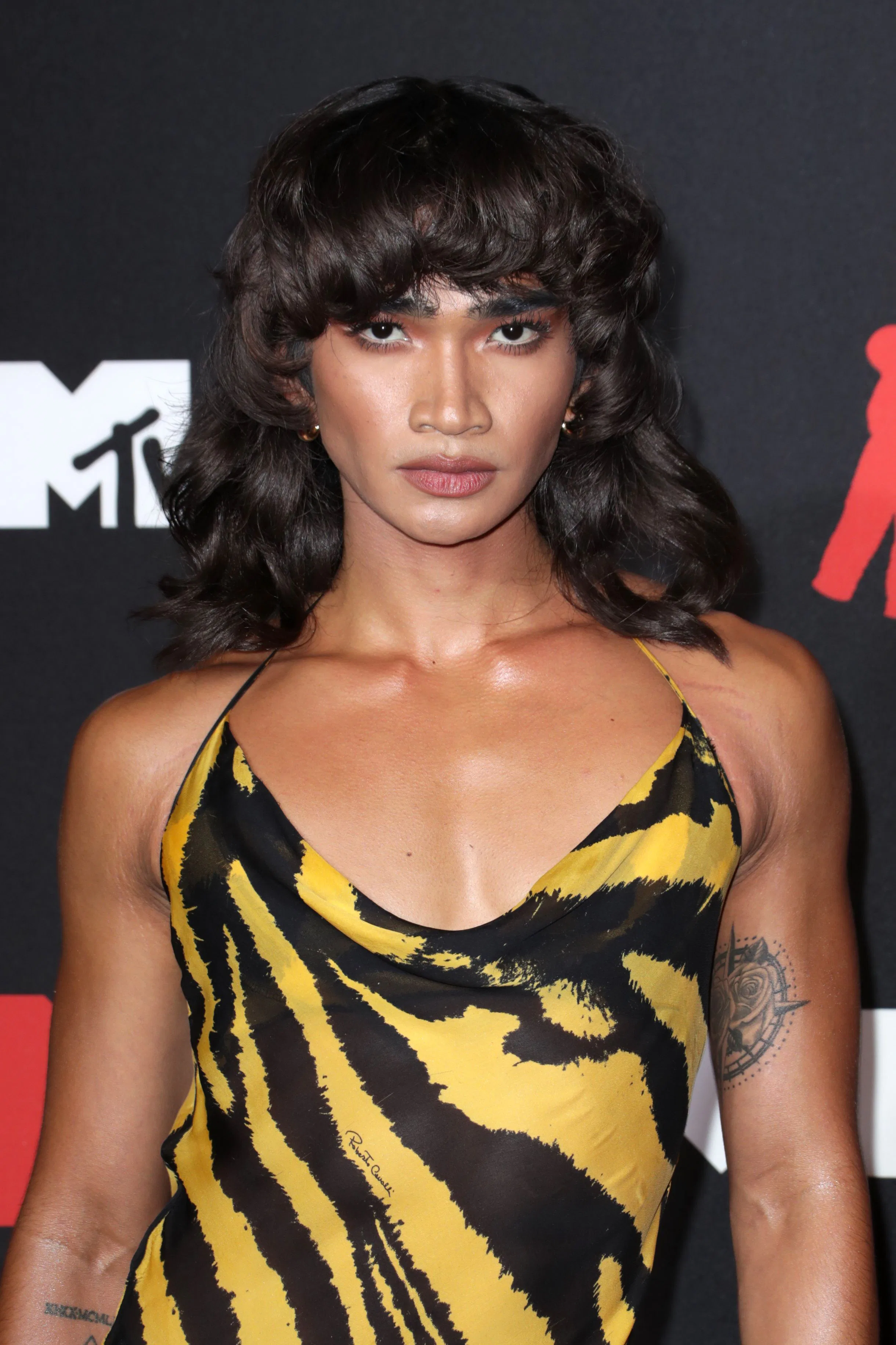 aaliyah yellow and black dress Great Outfits in Fashion History: Aaliyah's Animal-Print Roberto Cavalli  Dress