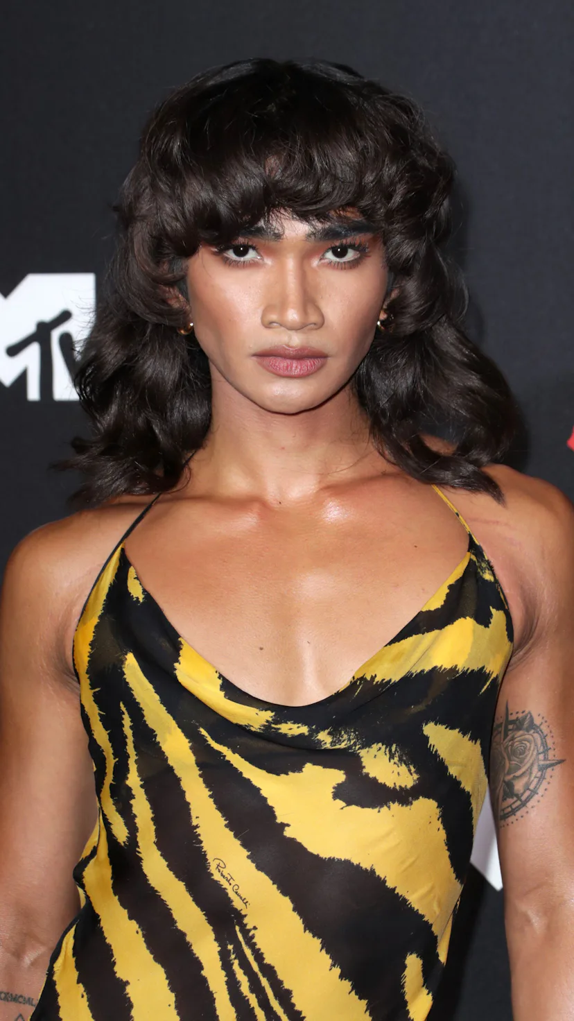 aaliyah yellow and black dress Great Outfits in Fashion History: Aaliyah's Animal-Print Roberto Cavalli Dress