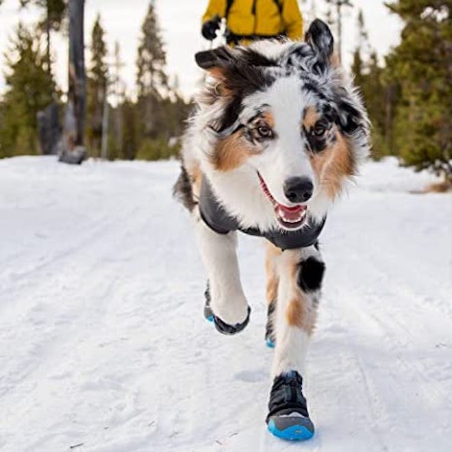 Ruffwear Polar Trex Waterproof Winter Dog Boots (2-Pack)