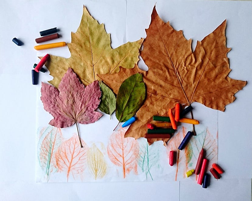 overhead shot of autumn leaf rubbings using crayons and paper 
