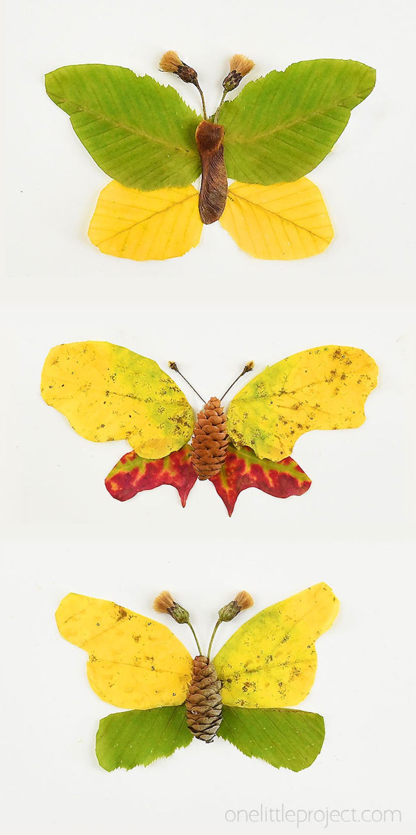 butterfly shapes made from autumn leaces