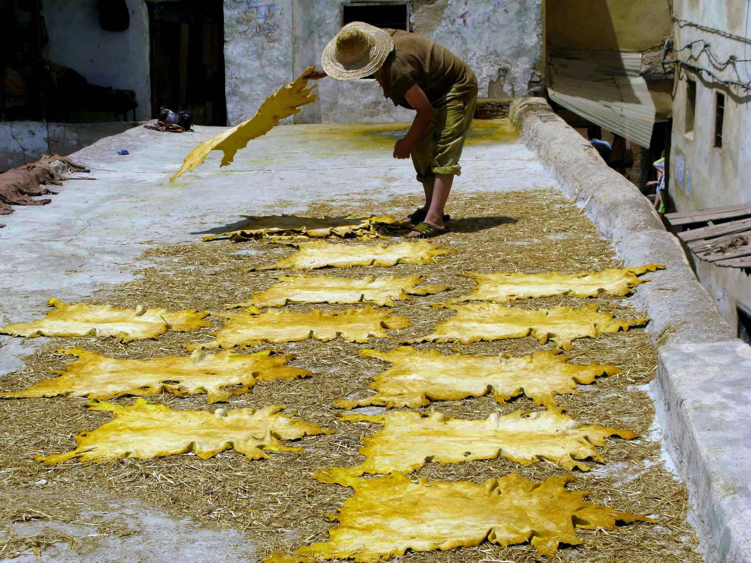 Hides drying in the sun at Chouara Tannery in Fez, Morocco
