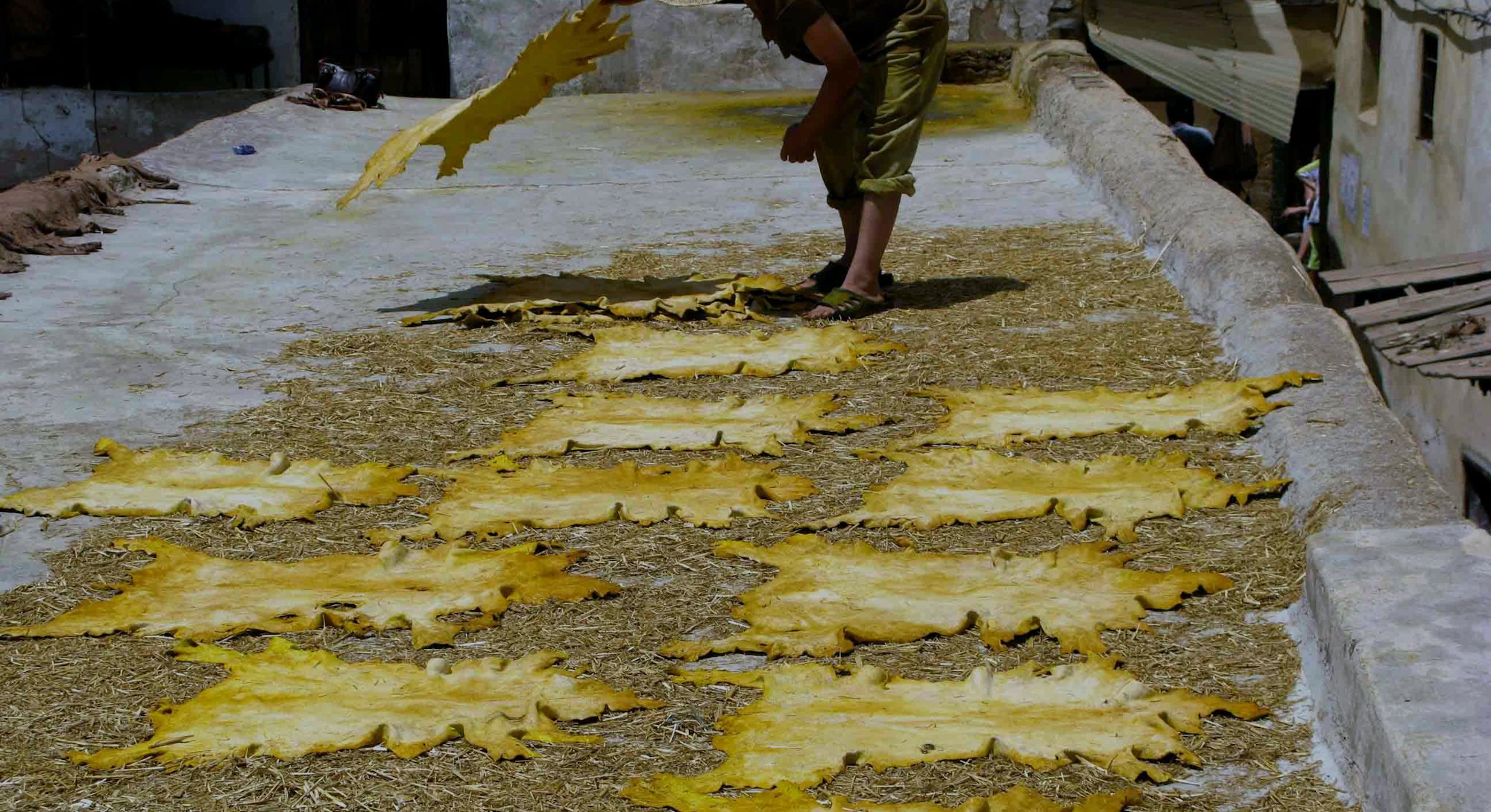 Hides drying in the sun at Chouara Tannery in Fez, Morocco