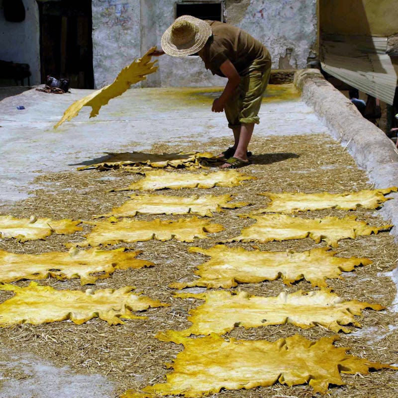 Hides drying in the sun at Chouara Tannery in Fez, Morocco