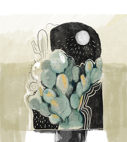 Illustration of a cactus under Moon 