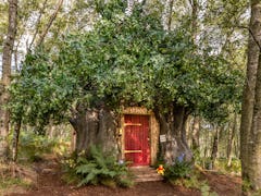 The entrance to Airbnb and Disney's 'Winnie the Pooh' treehouse looks exactly like the books.