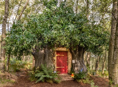 The entrance to Airbnb and Disney's 'Winnie the Pooh' treehouse looks exactly like the books.