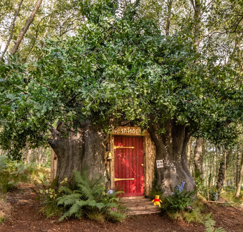The entrance to Airbnb and Disney's 'Winnie the Pooh' treehouse looks exactly like the books.