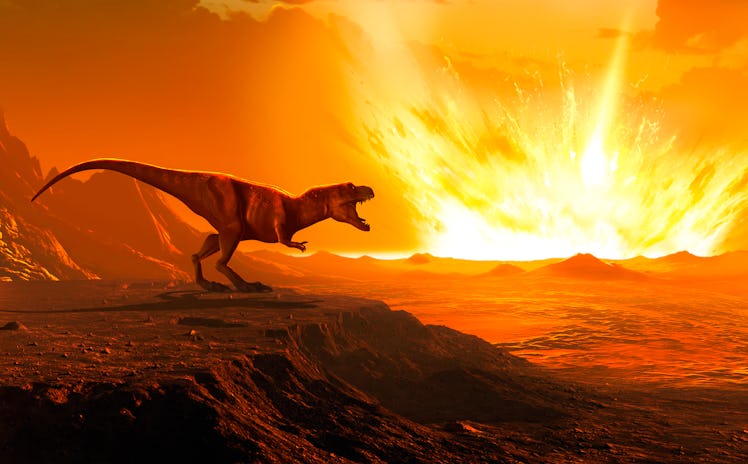 Dinosaur asteroid extinction event