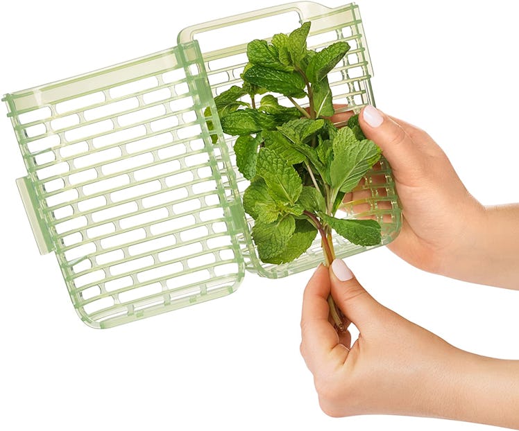 OXO Good Grips GreenSaver Herb Keeper