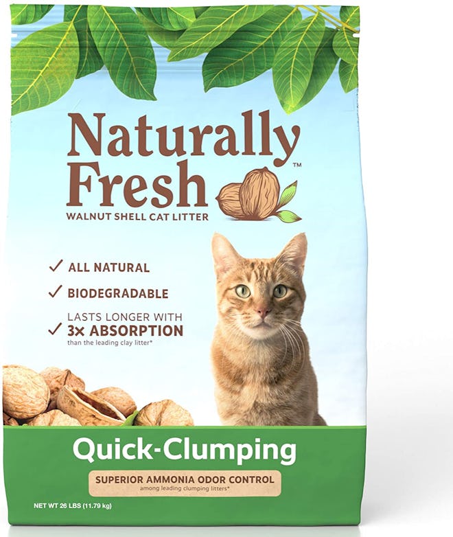 The Best Natural Cat Litter For Odor Control