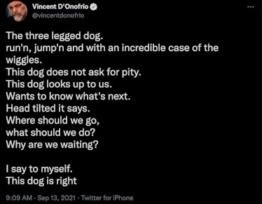 Vincent D'Onofrio Hawkeye trailer tweet echo dog