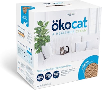 The Best Wood Cat Litter For Odor Control