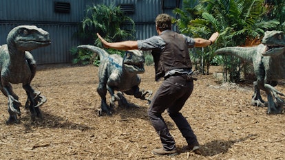 Chris Pratt training raptors in Jurassic World.