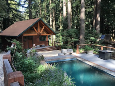 Enjoy California's Redwood Forest at this cabin Airbnb just an hour away from San Francisco.