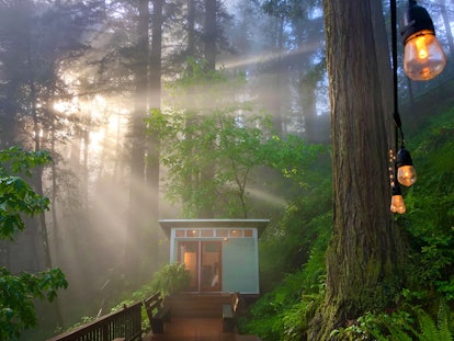 This tiny cabin on Airbnb is located in the California redwoods.