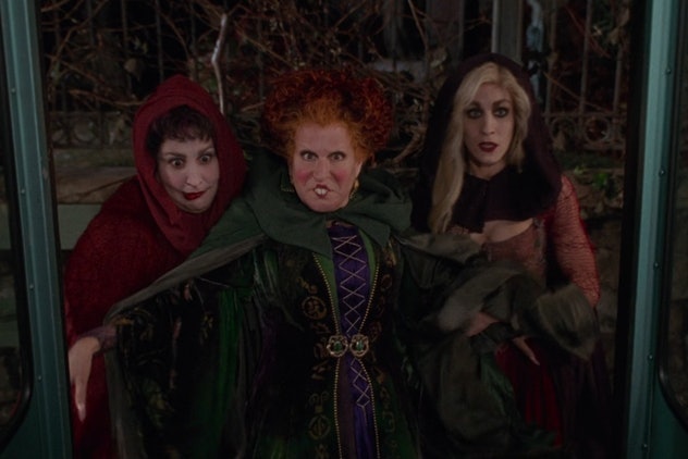 Hocus Pocus was released in 1993.