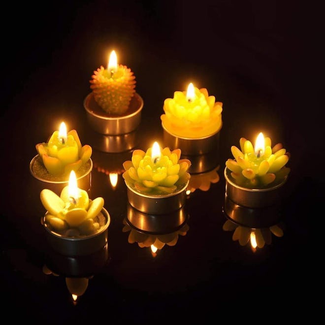SanSeng Succulent Tealight Candles