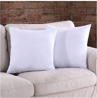 Homelike Moment Throw Pillow Inserts (Set of 2)