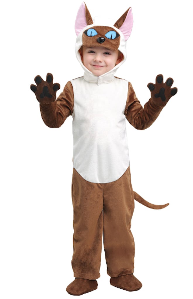 Child wearing a Siamese cat costume