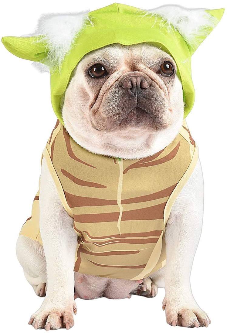 'Star Wars' Yoda Costume for Dogs — Baby Yoda