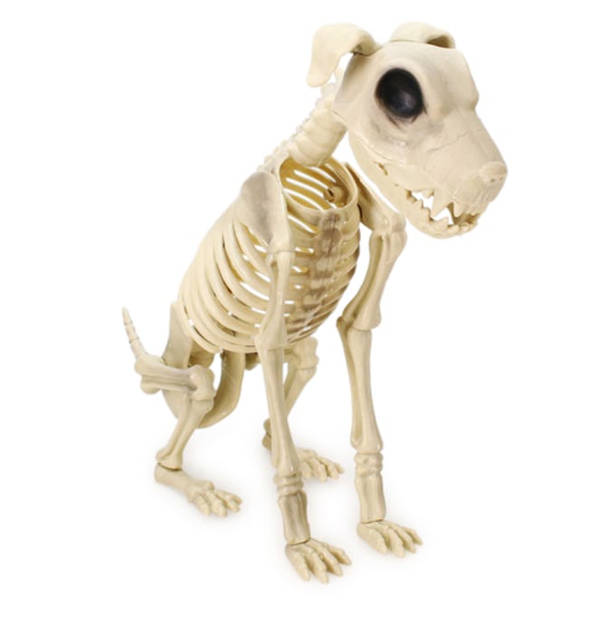 This halloween skeleton dog statue is available at Five Below.