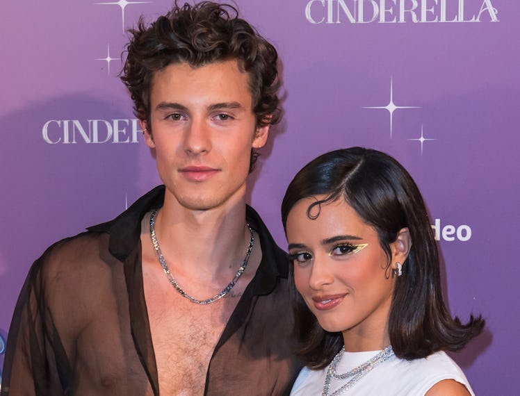Shawn Mendes and Camila Cabello