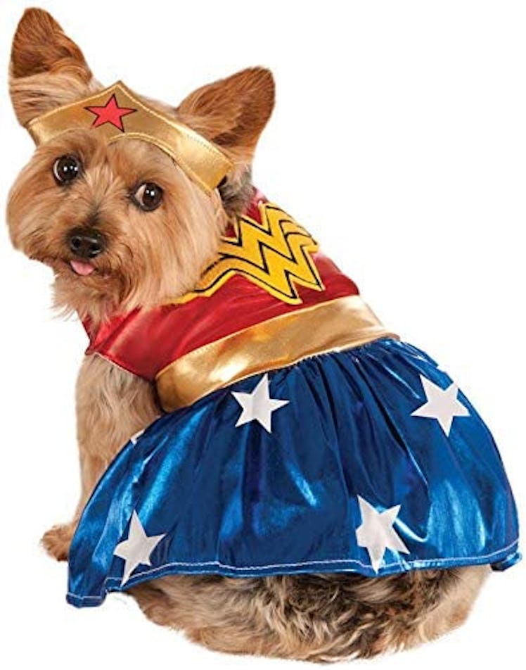 This dog Halloween costume will adorably transform your pup.