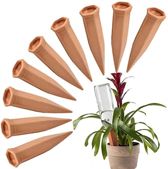 FAMILY Plant Watering Stakes (10-Pack)
