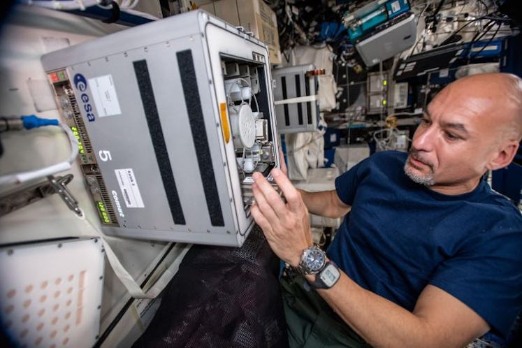 Astronaut Luca Parmitano installed the BioRock experiment on the ISS.