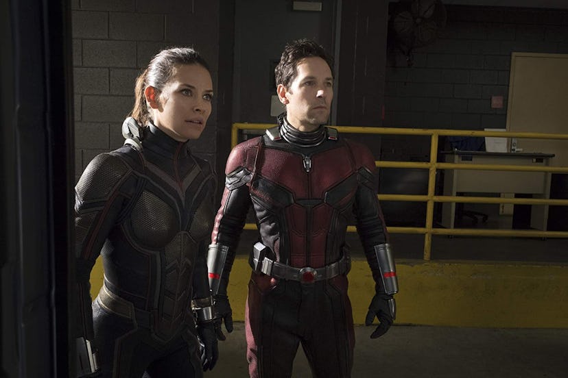 A still from 'Ant-Man and the Wasp,' with Ant-Man and the Wasp in their superhero costumes and stari...