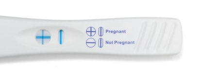 Close up of positive pregnancy test