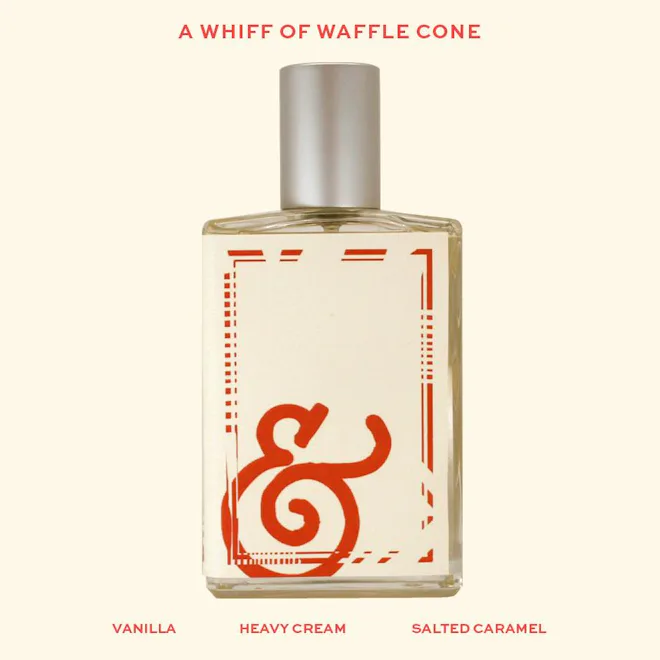 Fragrance Base Notes: Your Guide To Understanding Perfumes