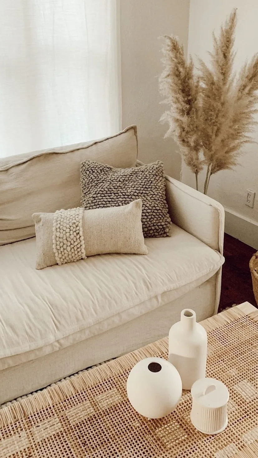 stylish throw pillows