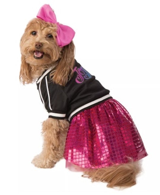 a dog dressed as jojo siwa for halloween