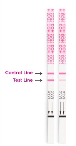 Close up of two positive pregnancy test strips