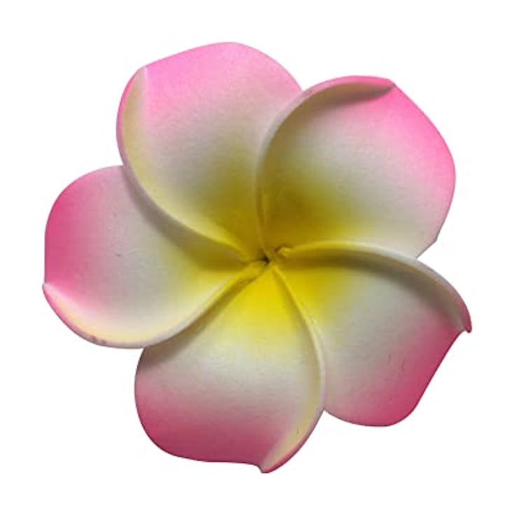 DreamLily Women's Fashion 3 Pcs Hawaiian White Plumeria Flower Foam Hair Clip Balaclavas for Beach