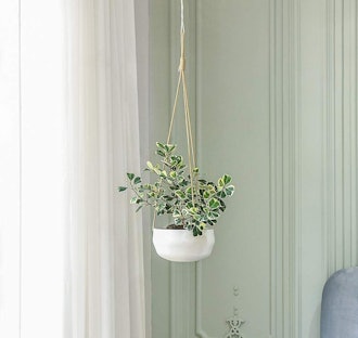 Mkono Ceramic Hanging Planter, 8 Inches