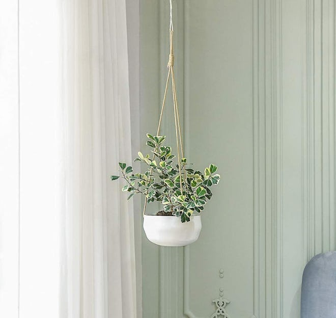 Mkono Ceramic Hanging Planter, 8 Inches