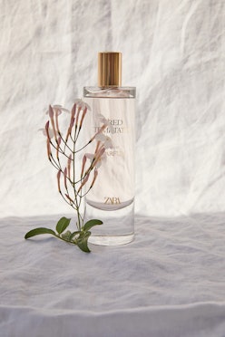 Zara Perfumes Are Trending On TikTok — These Are The Scents To Buy