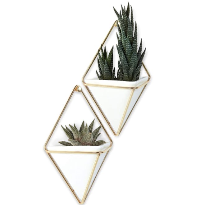 Umbra Hanging Planter