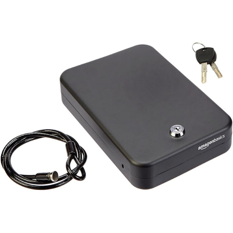 Amazon Basics Portable Security Case