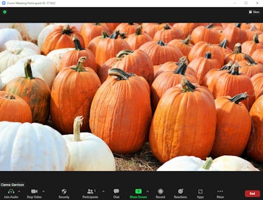 These Halloween Zoom backgrounds include fun photos that transport you to the pumpkin patch.