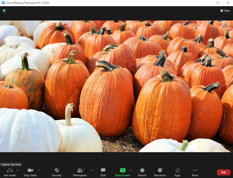 These Halloween Zoom backgrounds include fun photos that transport you to the pumpkin patch.