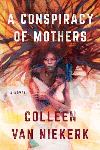 new books in october 2021 'A Conspiracy of Mothers' by Colleen van Niekerk