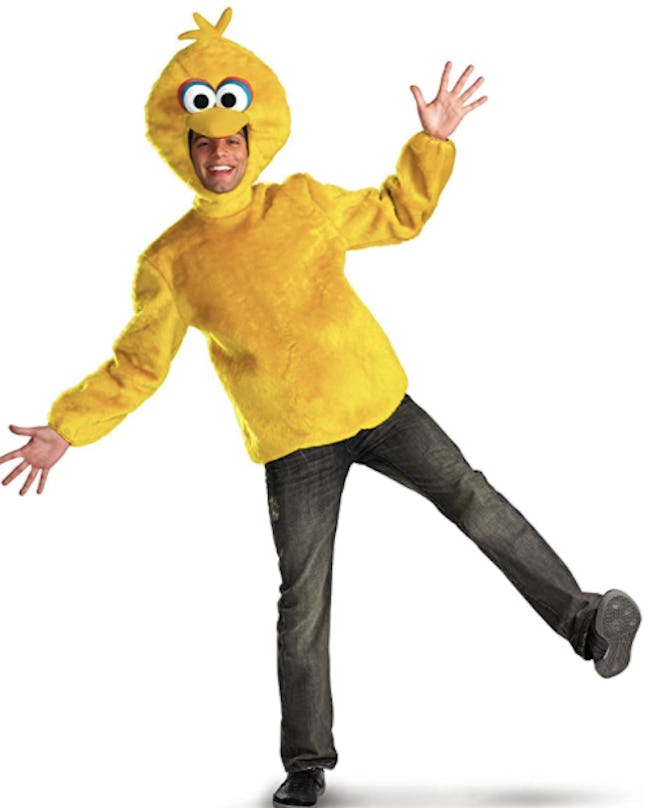 Man dressed in a Big Bird costume