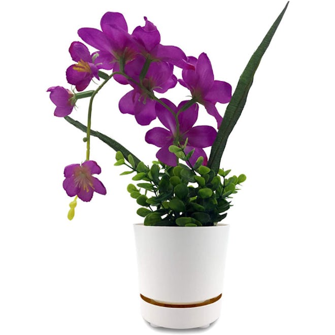 HBServices Self Watering Planter