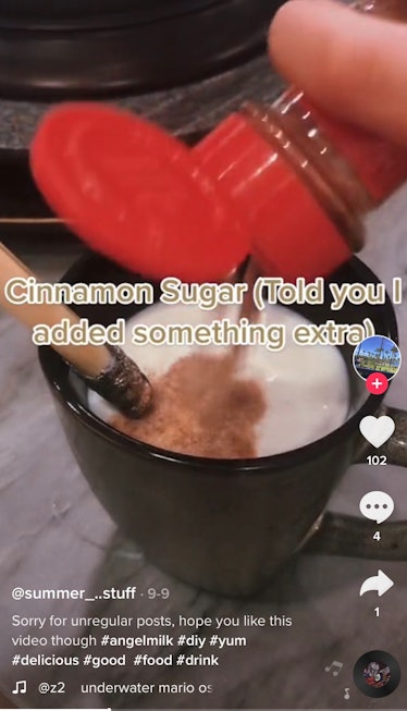 A TikToker makes one of TikTok's viral angel milk recipe alternatives with cinnamon. 