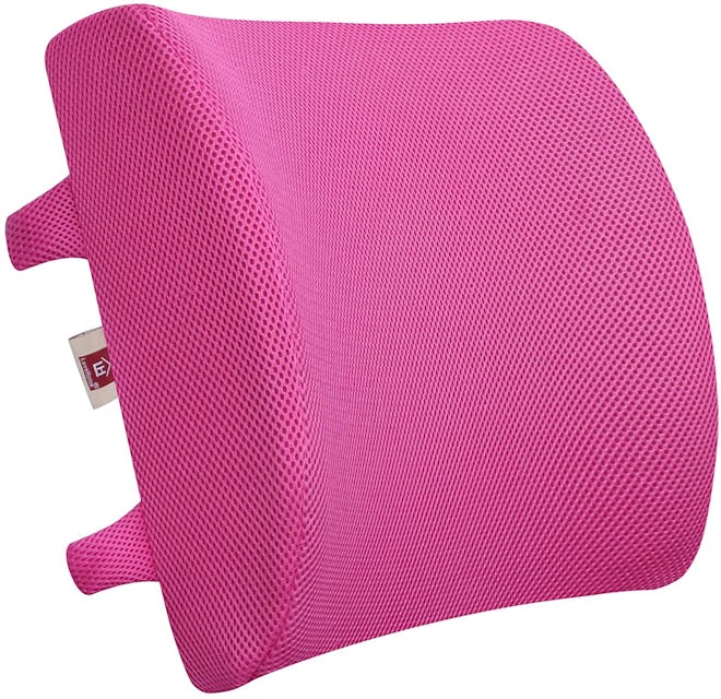 LoveHome Memory Foam Lumbar Support Back Cushion